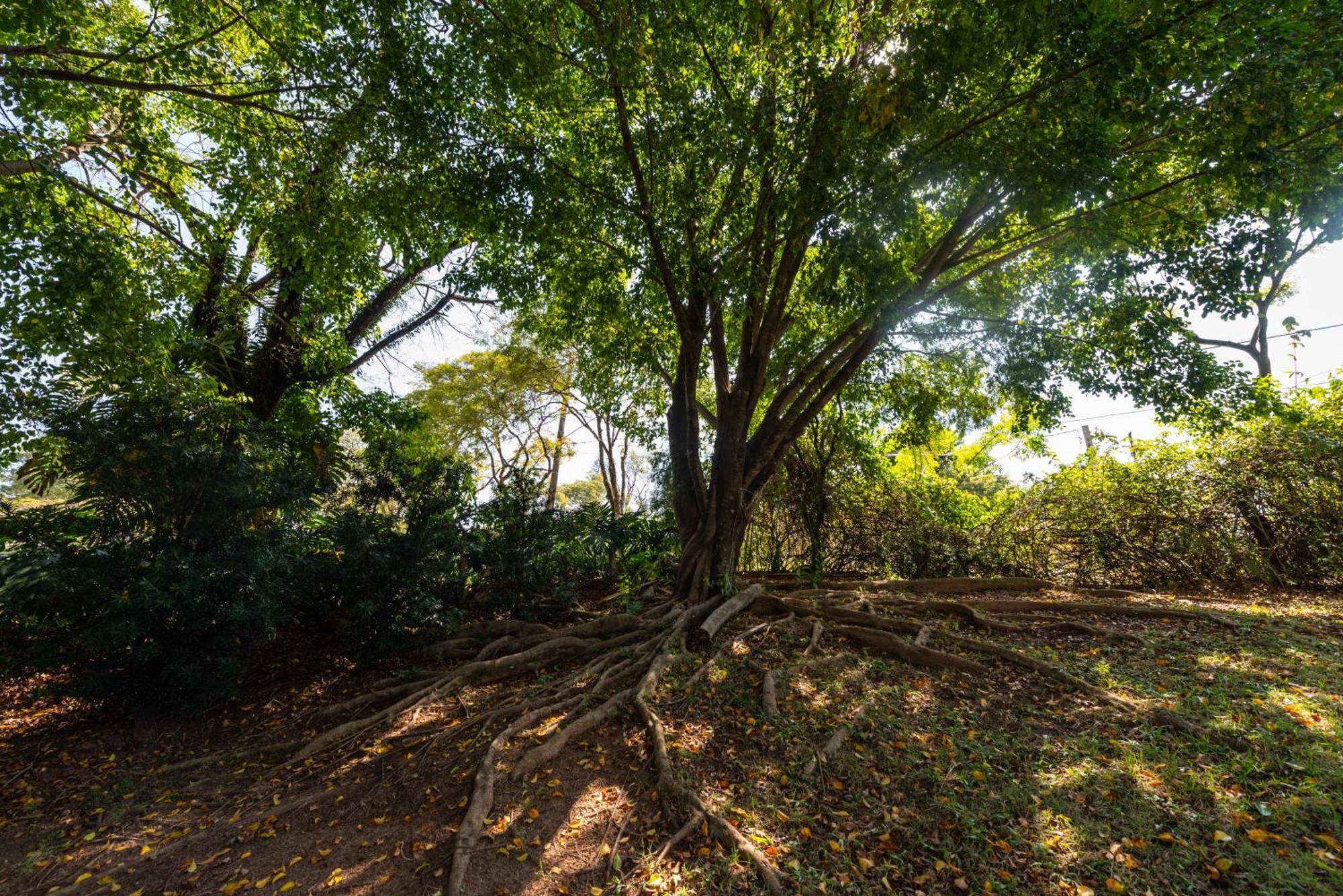 Fazenda Vila Real - Grande E Charmosa Casa De Campo Itu Ngoại thất bức ảnh